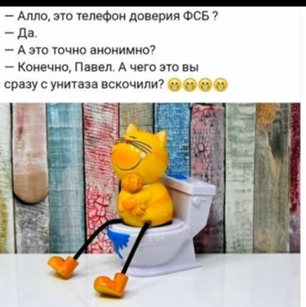 _ Алло это телефон доверия ФСБ да А 910 ючио аиснимно Конечно Павел А чего зю вы сразу с уиитаза вскочили