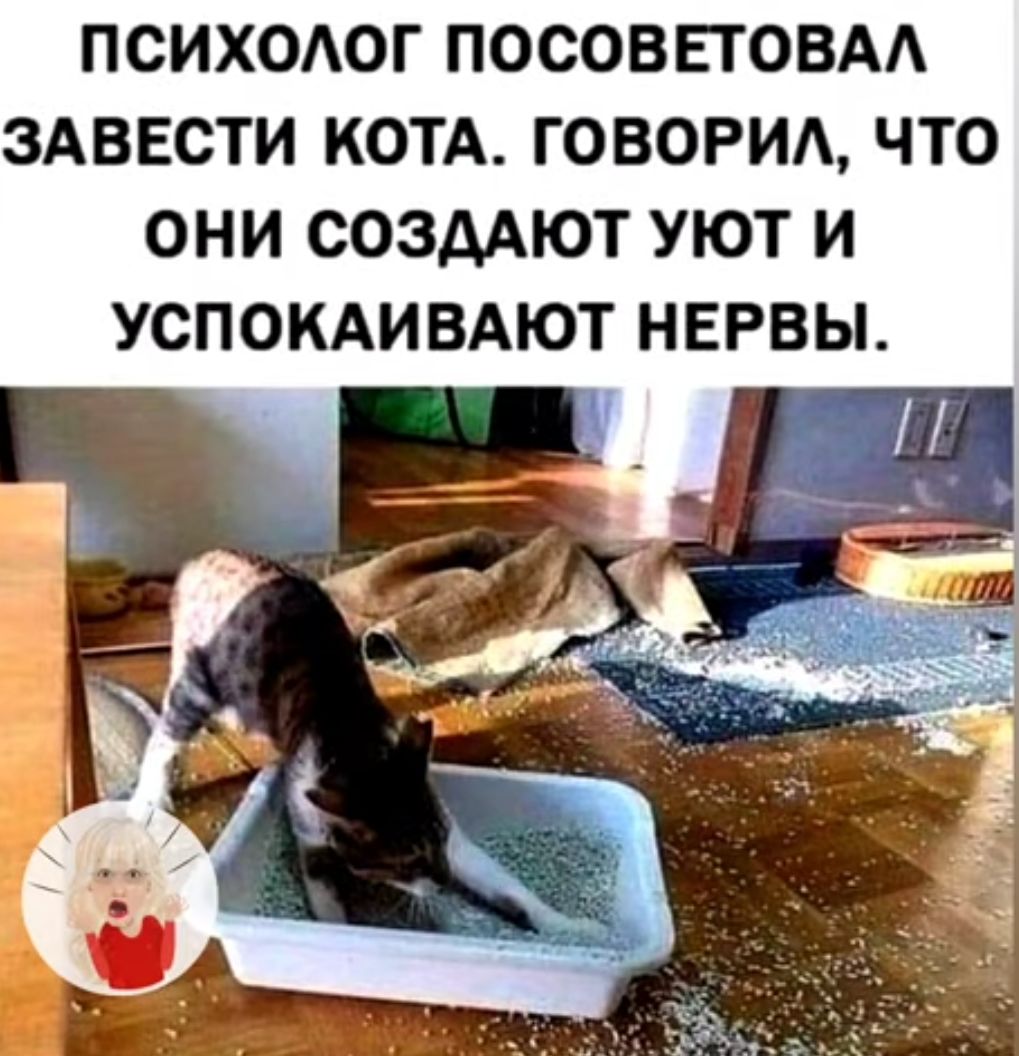 ПСИХОАОГ ПОСОВПОВАА ЗАВЕСТИ КОТА ГОВОРИА ЧТО ОНИ СОЗААЮТ УЮТ И УСПОКАИВАЮТ НЕРВЫ