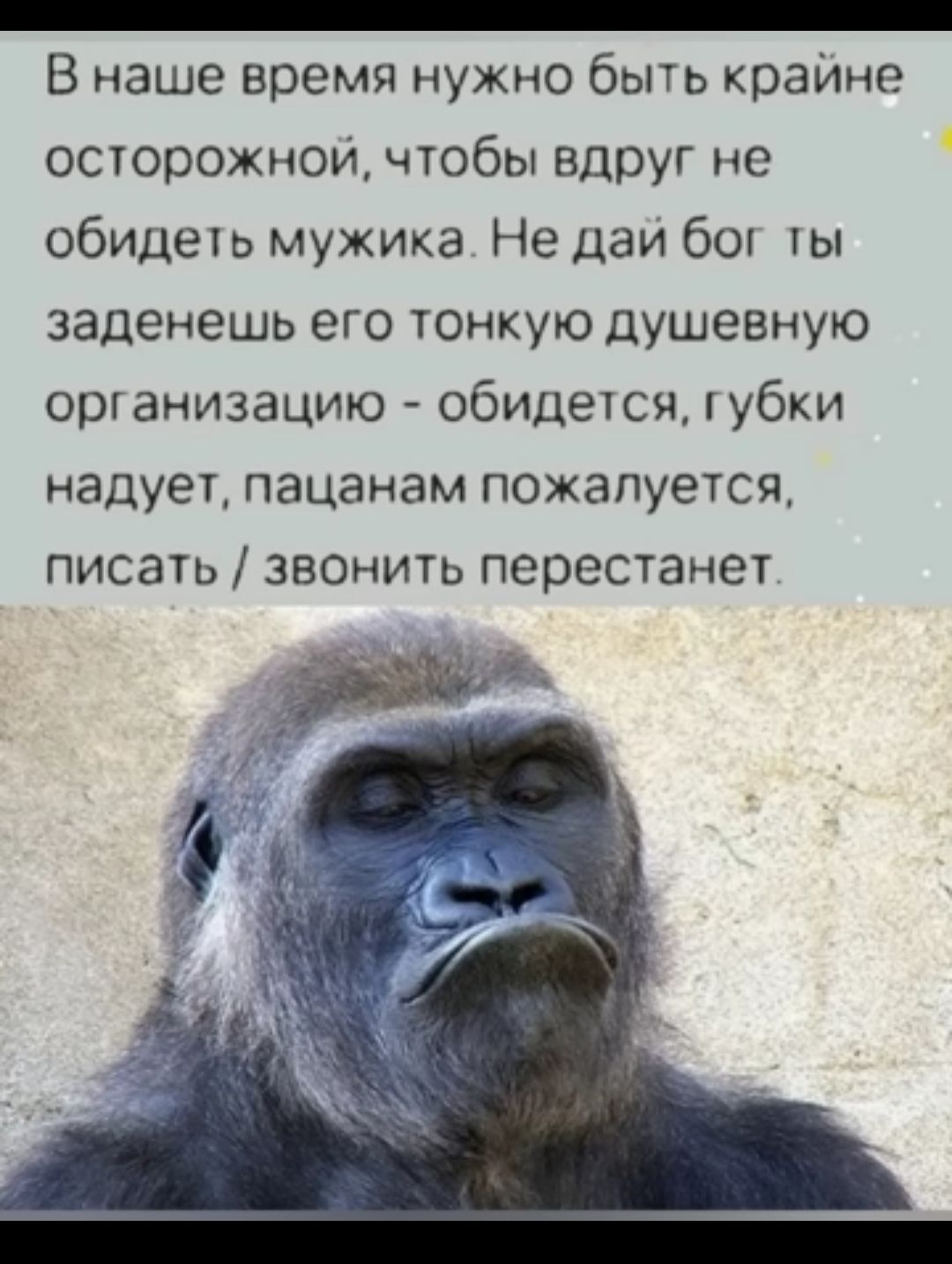 _ В наше время нужно быть крамне осторожной чтобы вдруг не обицеіь мужика Не паи 60 Н заденешь его тонкую душевную организацию обиделся губки надует пацанам ПОЖЗПУеТСЯ ПИСЗТЬ ЗВОНИТЬ перестанет