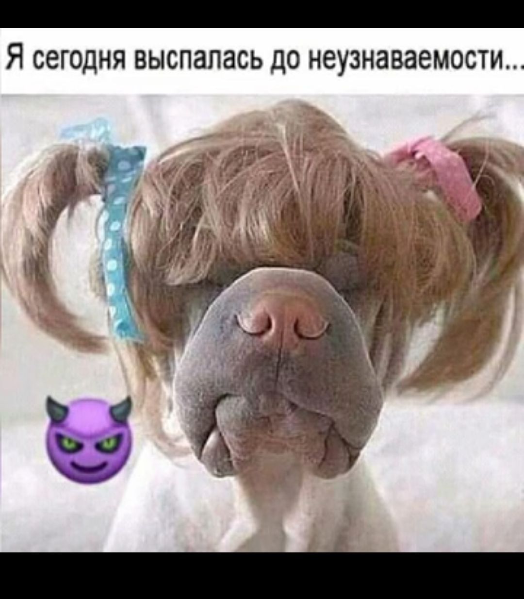 _ Я сегодня выспалась до неузнаваемости
