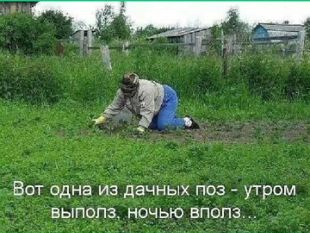 ВОТ одна из дачных ПОЗ утром ВЫП0ПЗ НОЧЬЮ ВПОПЭ