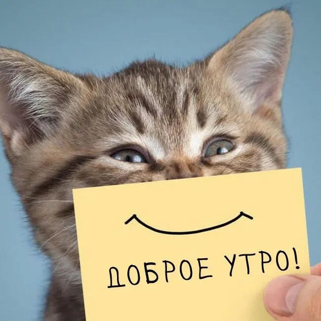 Ш пОБРОЕ УТРО Я