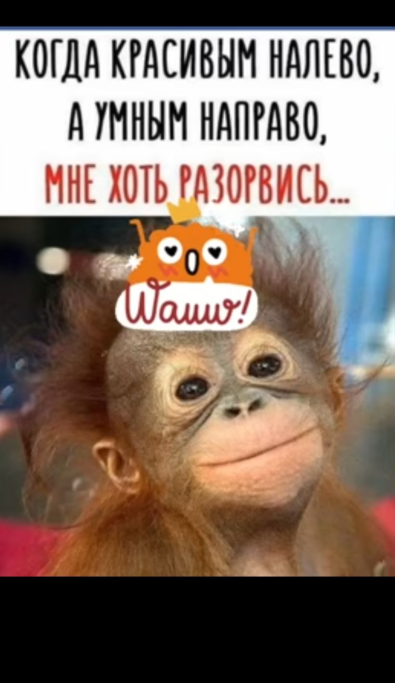 КОГДА КГАСИВЫМ НАЛЕВО А УННЫМ НАПРА80 ННЕ ХОТЬ ЗОРВИСЬ