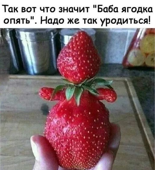 Так вот что значит Баба ягодка