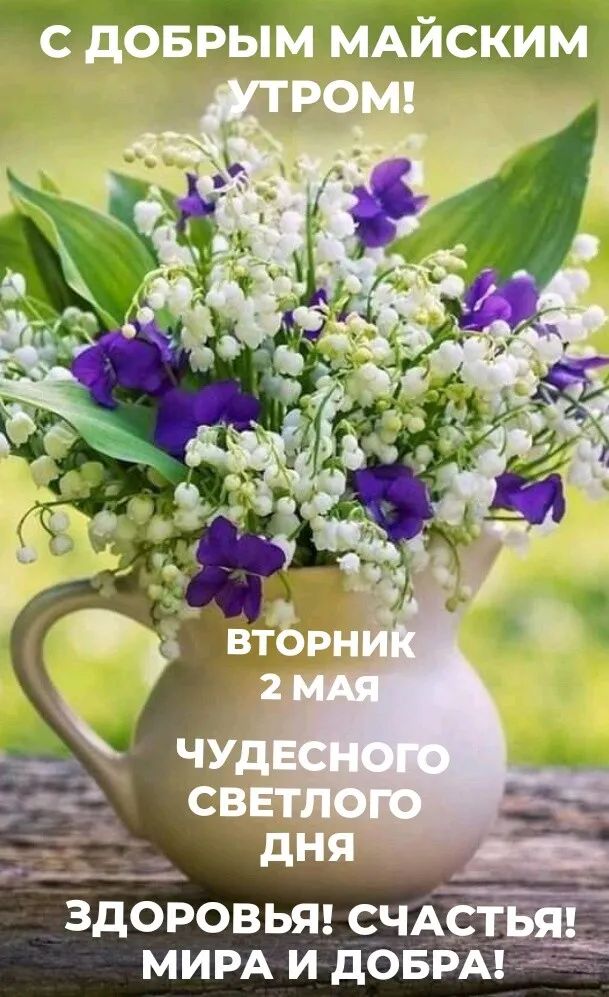 МИРА И дОБРА