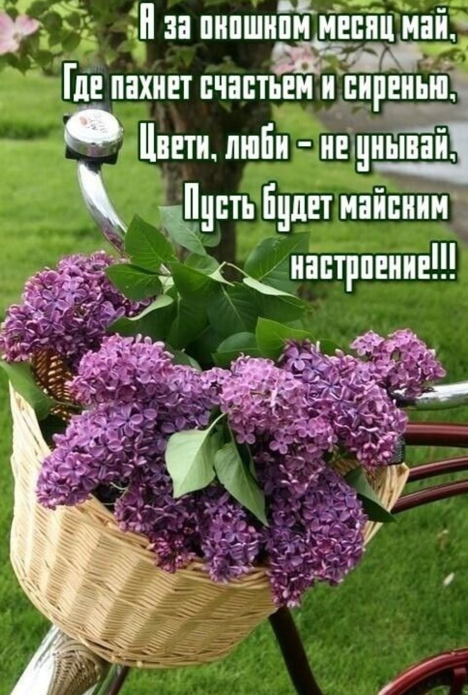 Пэнпипшипи иш пни Гц пахнет пчнптЁЁі Плети пшби ииічиыиі фиш Буш наівиинд иавтрпвиии