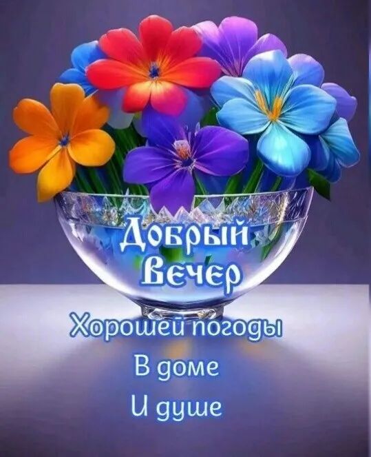 эр шей погоэы В 9ме