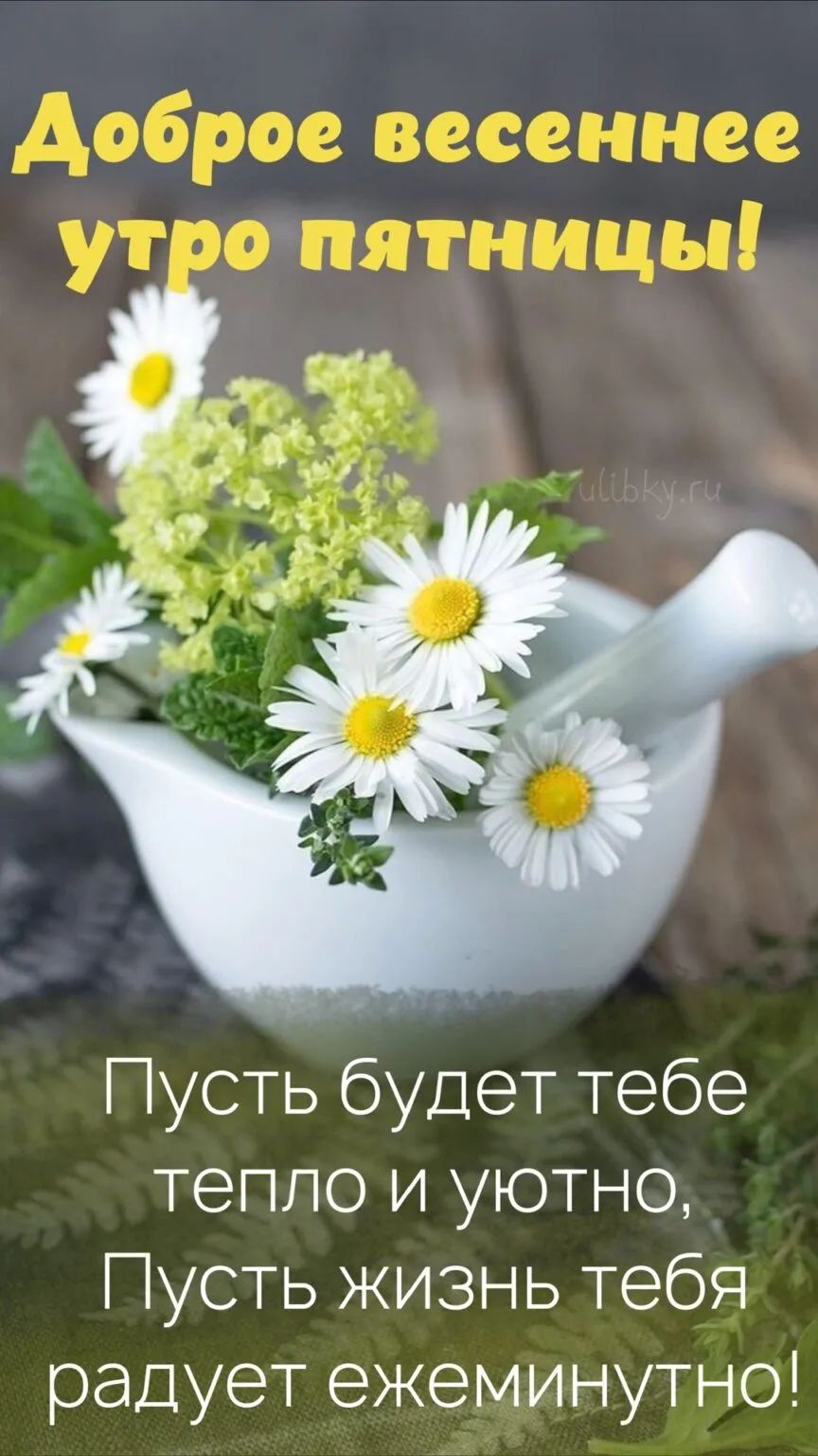 усть будет тебе тепло и уютно усть жизнь тебя радует ежеминутно