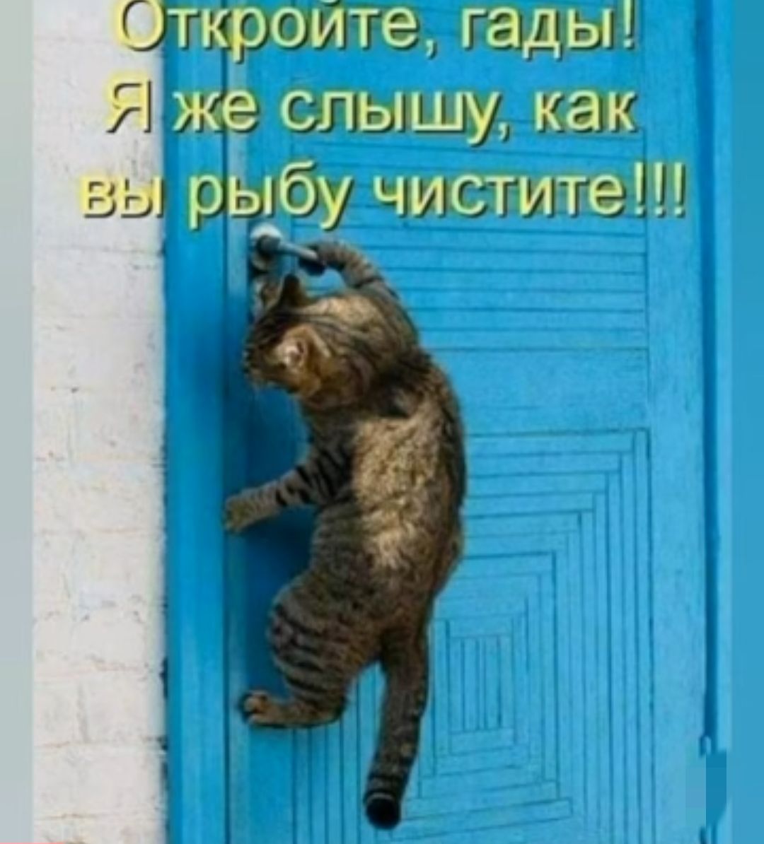 рата дэд Я из выть ху как вы ё 1_3у шсзпигггип в