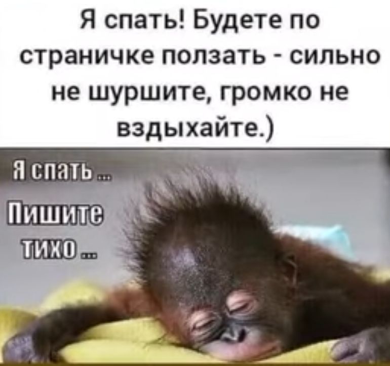 Я спать Будете по страничке ползать сильно не шуршите громко не вздыхайте