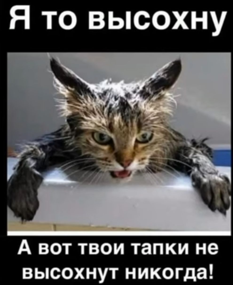 Я то высохну А вот твои тапки не высохнут никогда