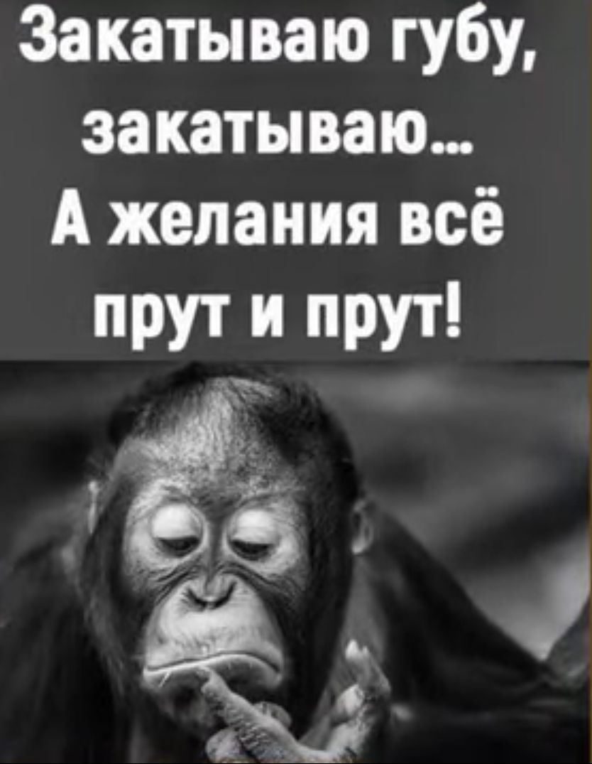 Закатываю губу закатываю А желания всё прут и прут Ёе г