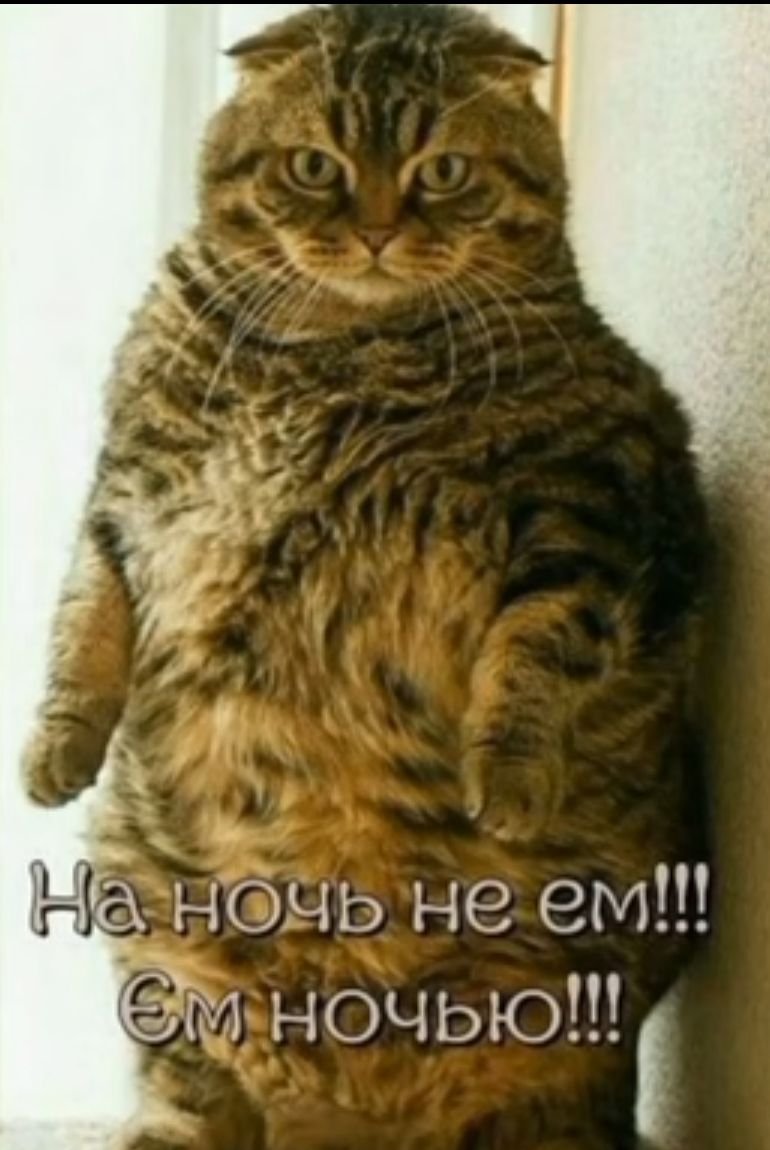 ночь не ем ЗМ ночью