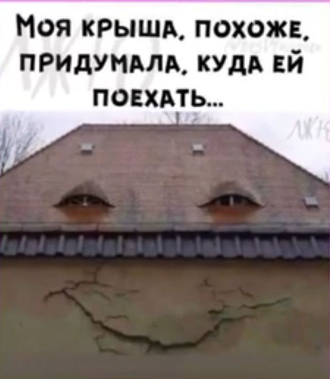 Ноя крыши похожи придунмм куди й ПОЕХАТЬ