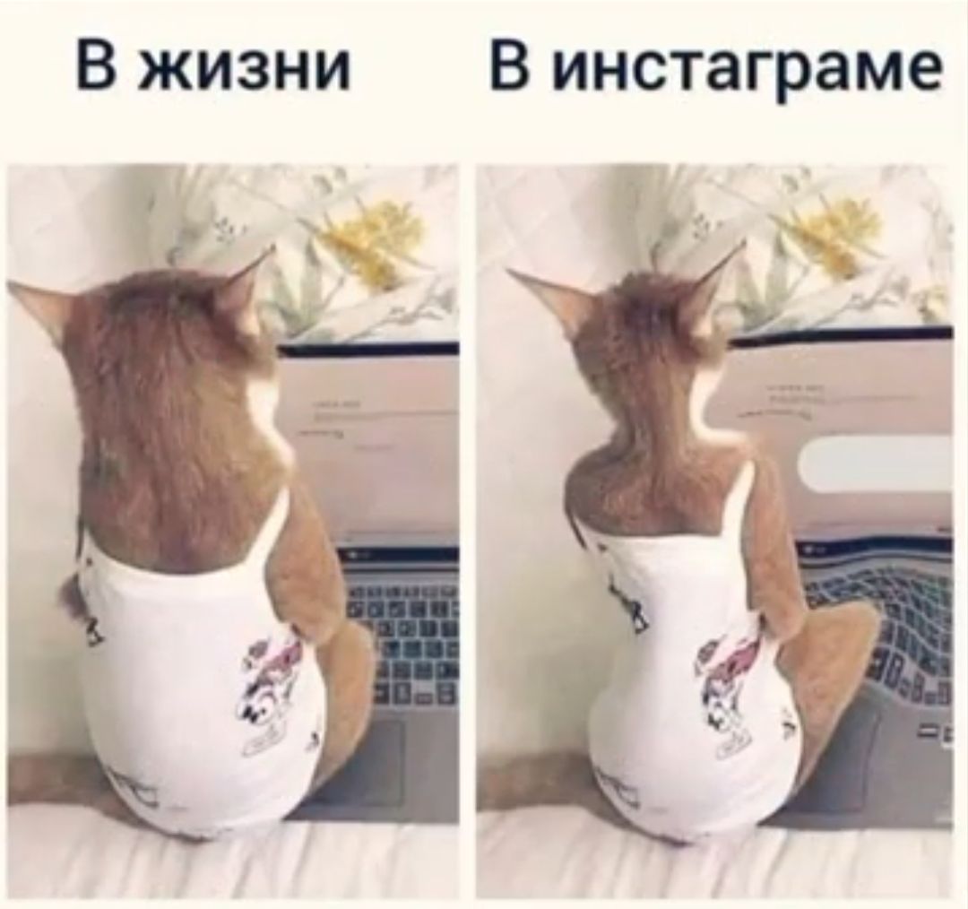 В жизни в инстаграме