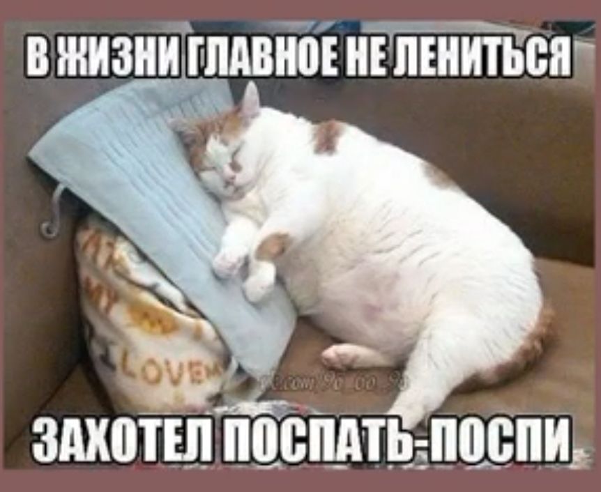 В ЖИЗИИ МВИВЕ ИЕ 171ЕИИТЬ1Ш здхоішйёмтьзпцспш