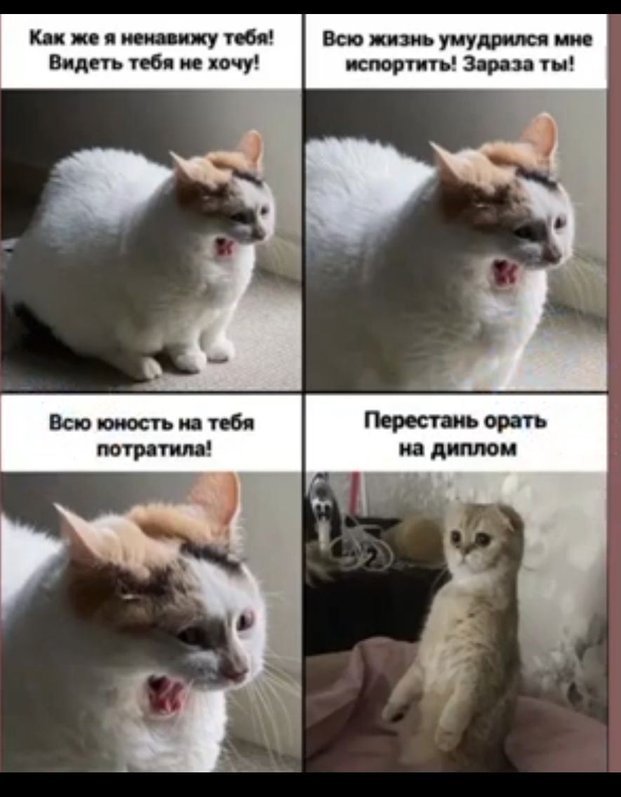 кп ш у вы вы уму видн пм
