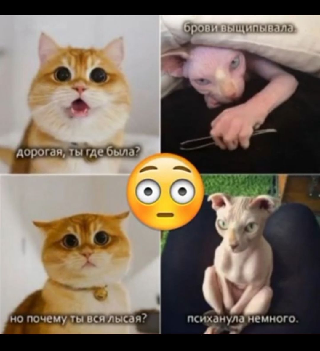 Мишку емкого