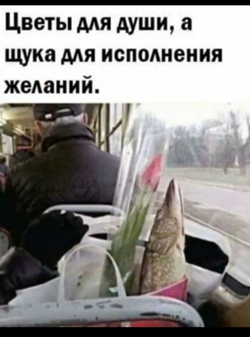 Цветы мя души щука для исполнения жеданий
