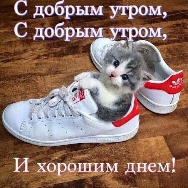 С дбРЫм утром И ХОЁЭЁЁИМ днём