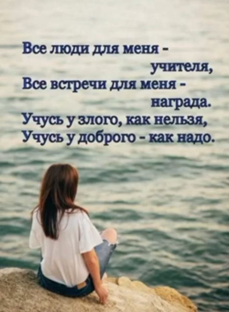 Витамины учителя Веера рептилия Учусьузпощшущ Учусьудоброюткща