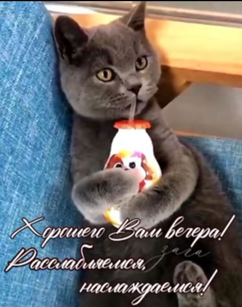 у 73 Хшшгт аш 7500 датГамишщ ііаісййУЁстсС