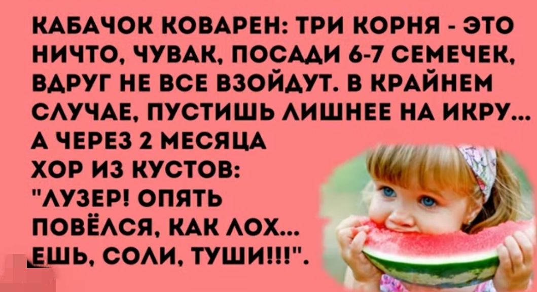 мычок копии три корня _ это ничто чувдк посми 6 7 семечек вдруг не все взойдут в ипйивн САУЧАЕ пустишь АИШНЕЕ НА нкп А чем несящ хор из кустов маш опять пондюя кдк АОХ ЕШЬ СОАИ ТУШИ ь