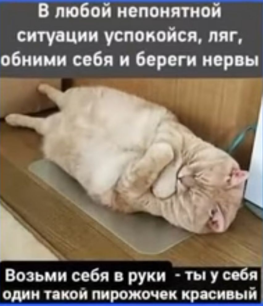 В ЛЮБОМ НЕПОИШО ситуации успокойся пяг обними себя и береги персы Возьми себя в руки ты у себя тякои пи мочек кивый