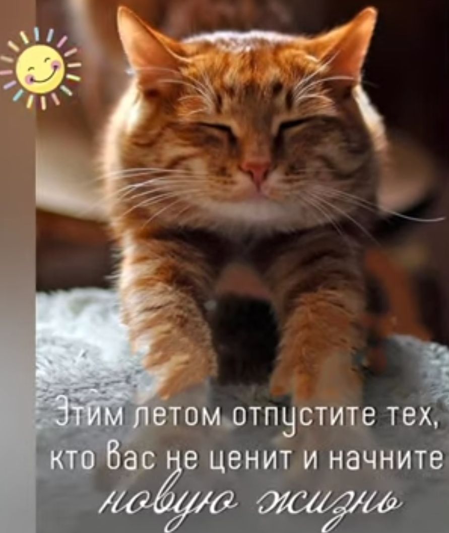 ТОМЩТПНСТИТВ ТВХС ЦВНИТ И начните