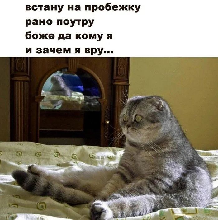 встану на пробежку рано поутру боже да кому я И зачем П вру