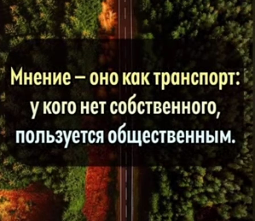 чт _ _ Мнение оно как транспорт у кого нет собственного пользуется общественным