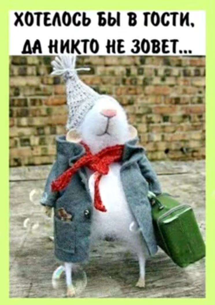 хотиюсь БЫ В ГОСТИ М НИКТО НЕ ЗОВЕТ