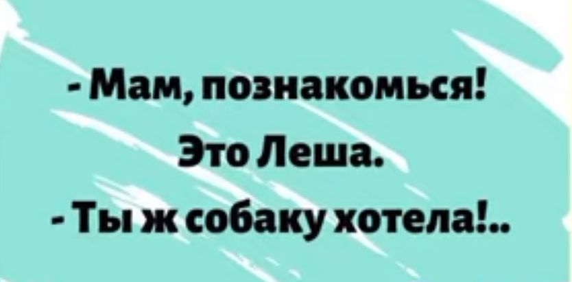 Мам познакомься Это Леша Ты ж собаку хотела