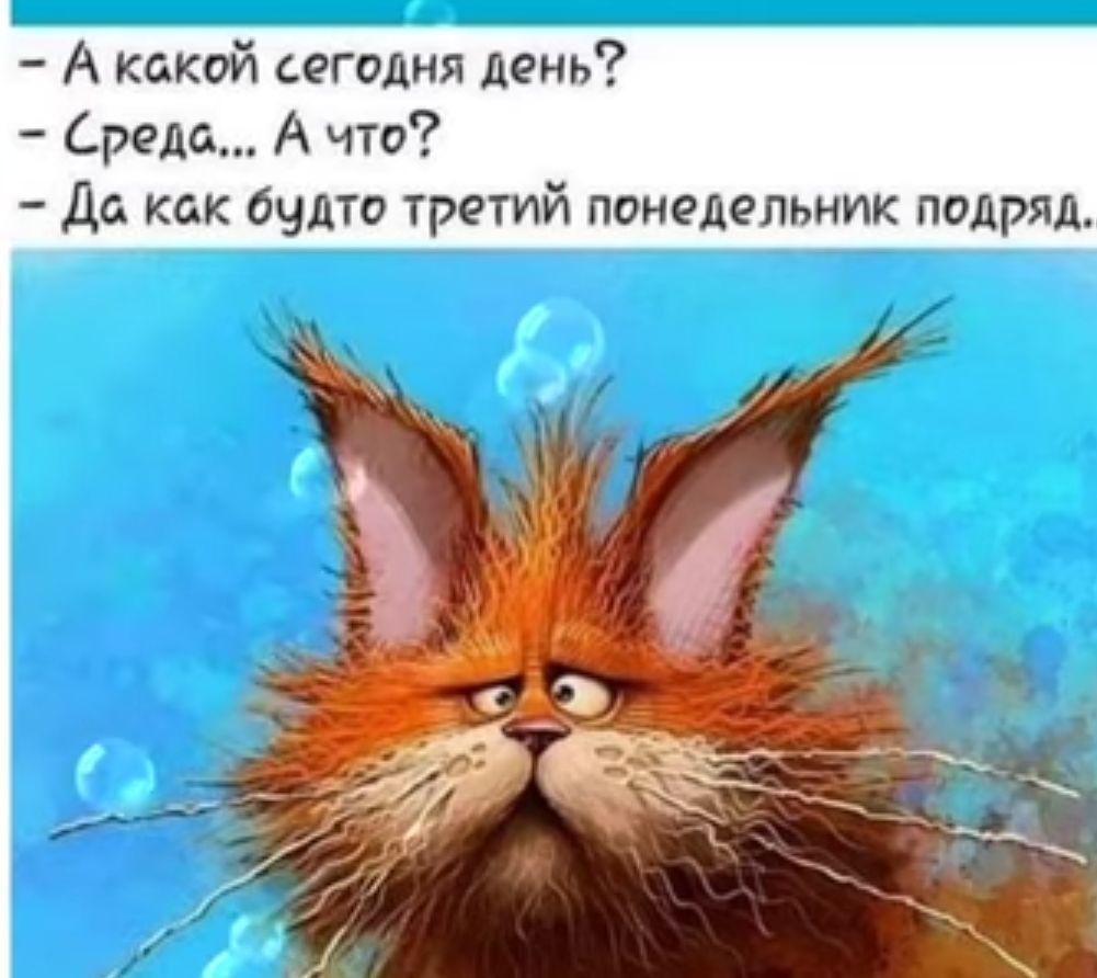 А какой сегодня день Среда А что Да как будто третий понедельник подряд