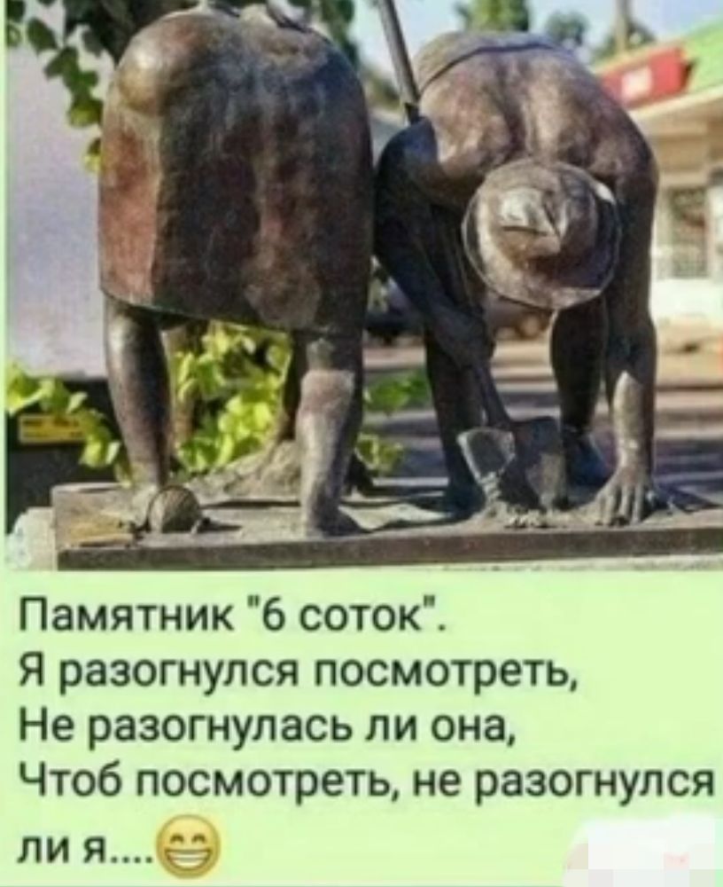 Памятник 6 соток Я разогнулся посмотреть Не разогнулась ли она Чтоб посмотреть не разогнупся ЛИ Я