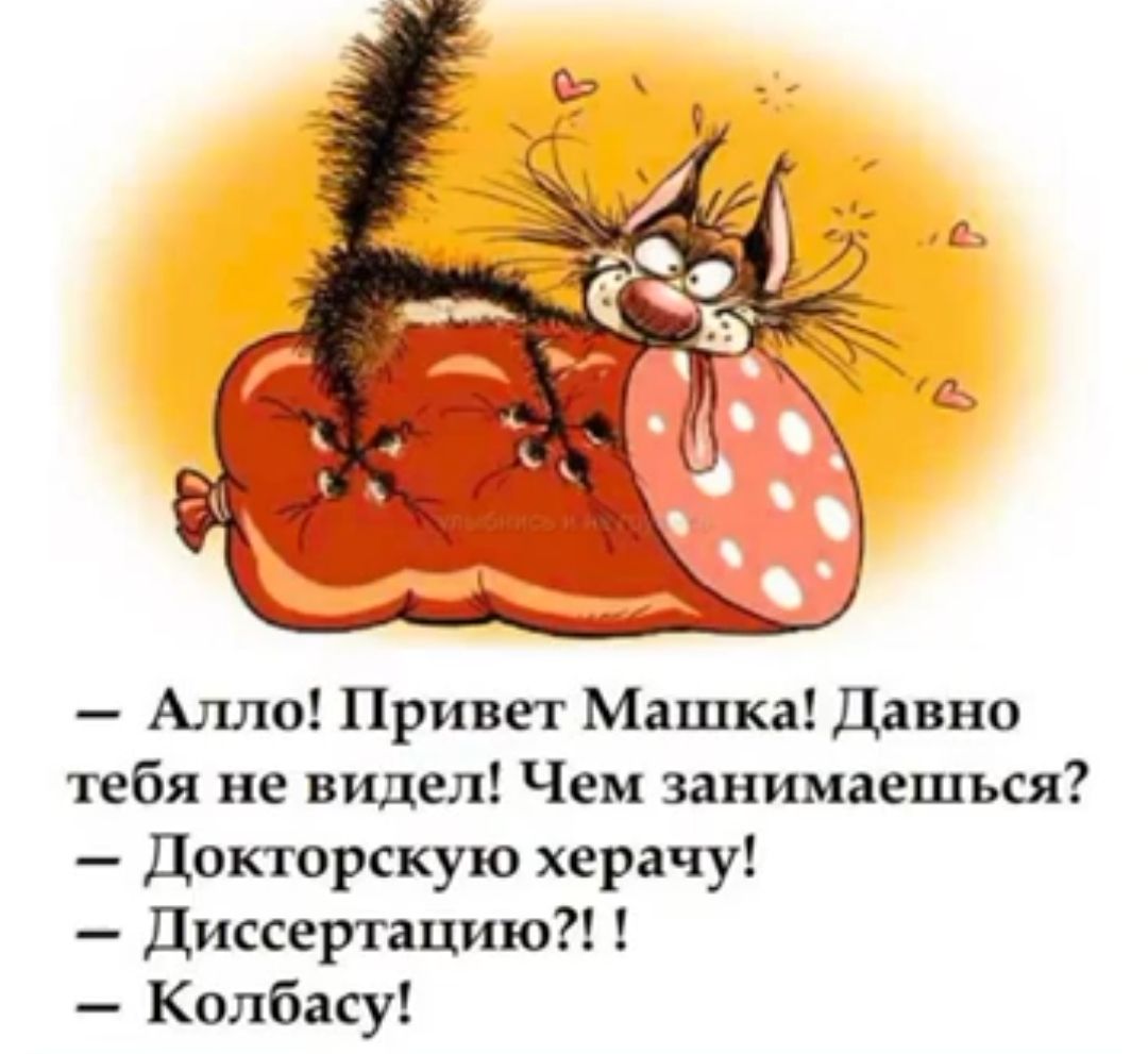 Алло Привет Машка давно тебя не видел Чем занимаешься докторскую хера ху диссертацию Колбасу