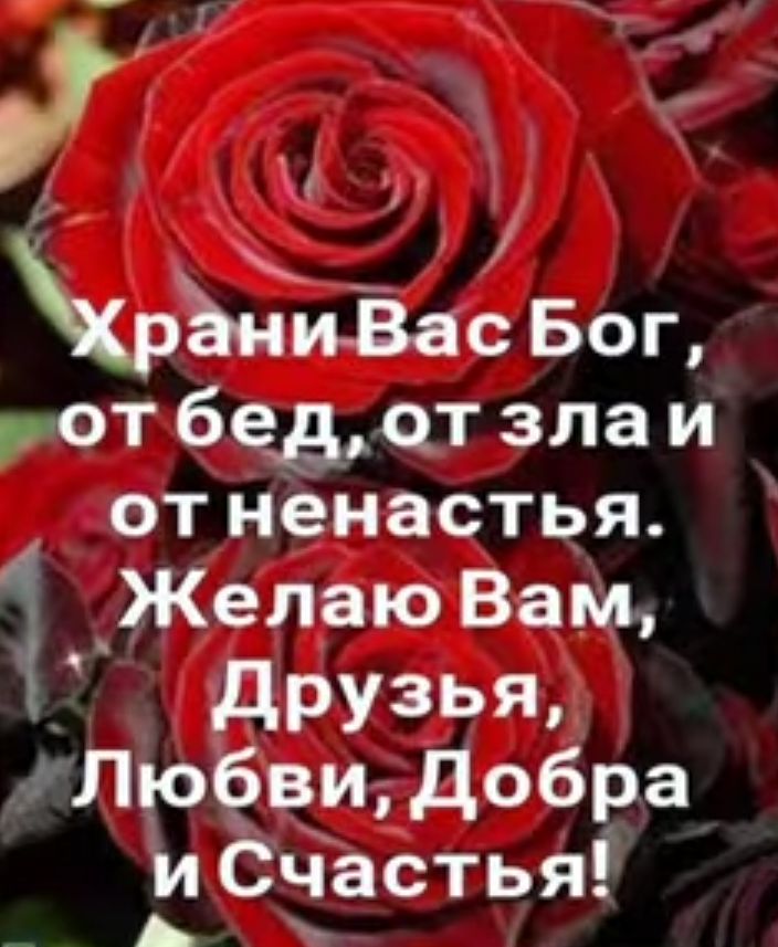 рЪниЁас Бог от бедлт зла и от ненастья _Желаю Вам _ друзья Люб_ви добра и Счастья _ А
