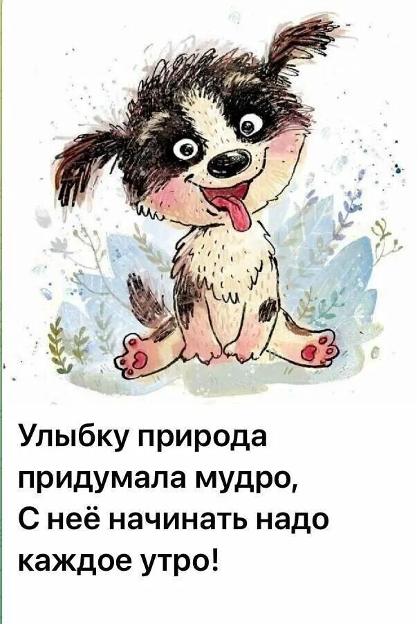 Улыбку природа придумала мудро С неё начинать надо каждое утро