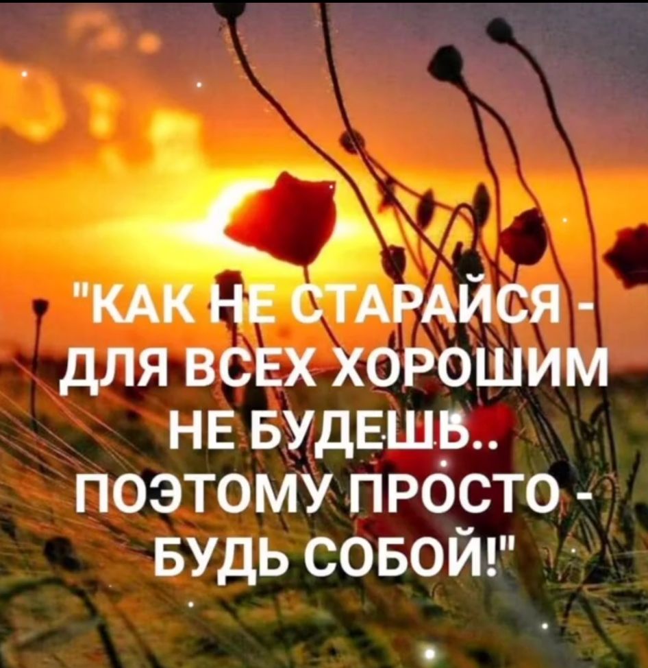 КАК не СТАРАЙСЯ для ВСЕХ хорошим не вудвш_5 поэтому просто БУДЬ совой