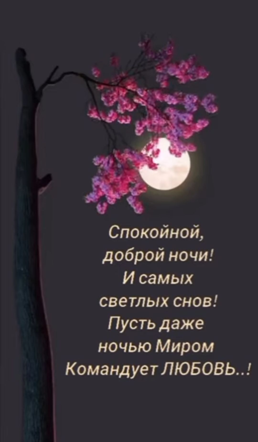 Спокойной доброй ночи И самых светлых снов Пусть даже ночью Миром К оманд ует ЛЮБОВЬ