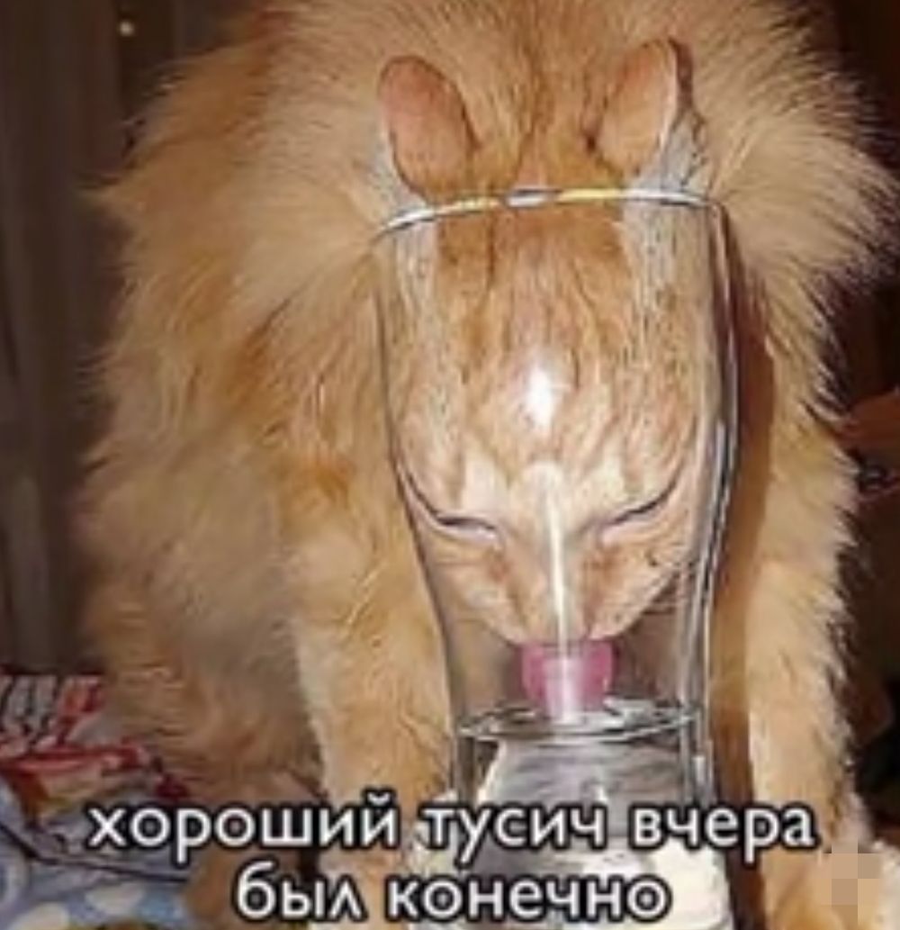 ъ хорошийтуси звы бытконечно