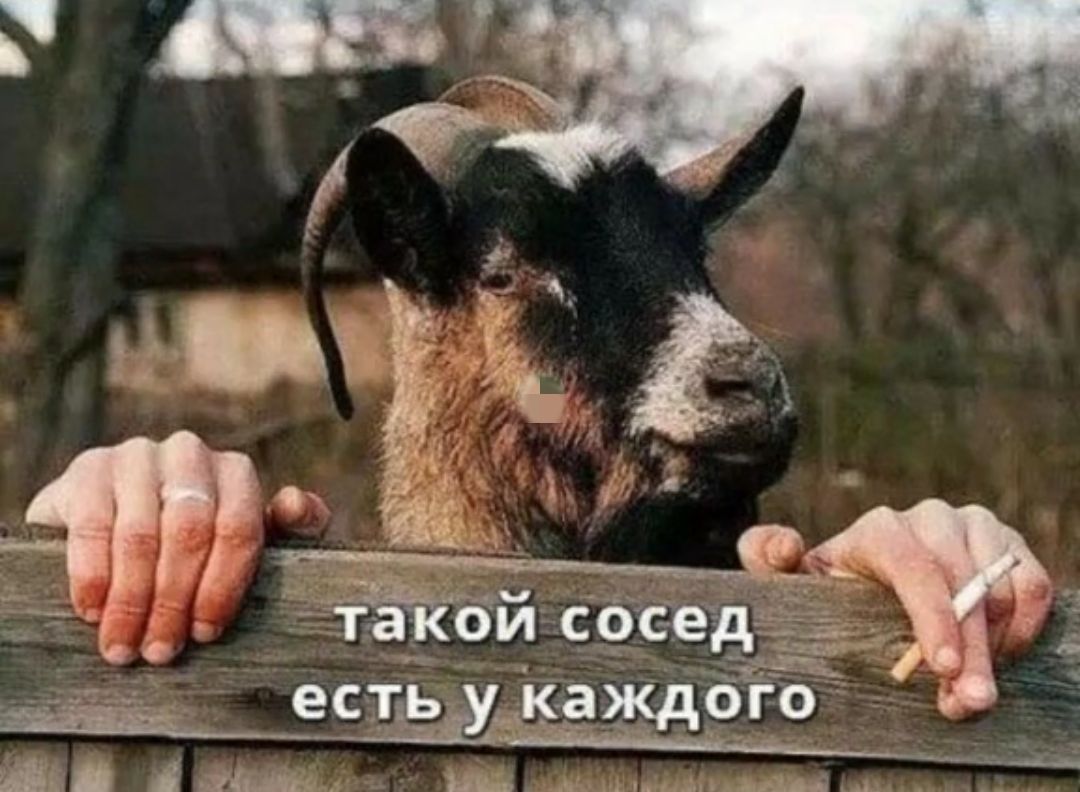 есть РЕ аР УН