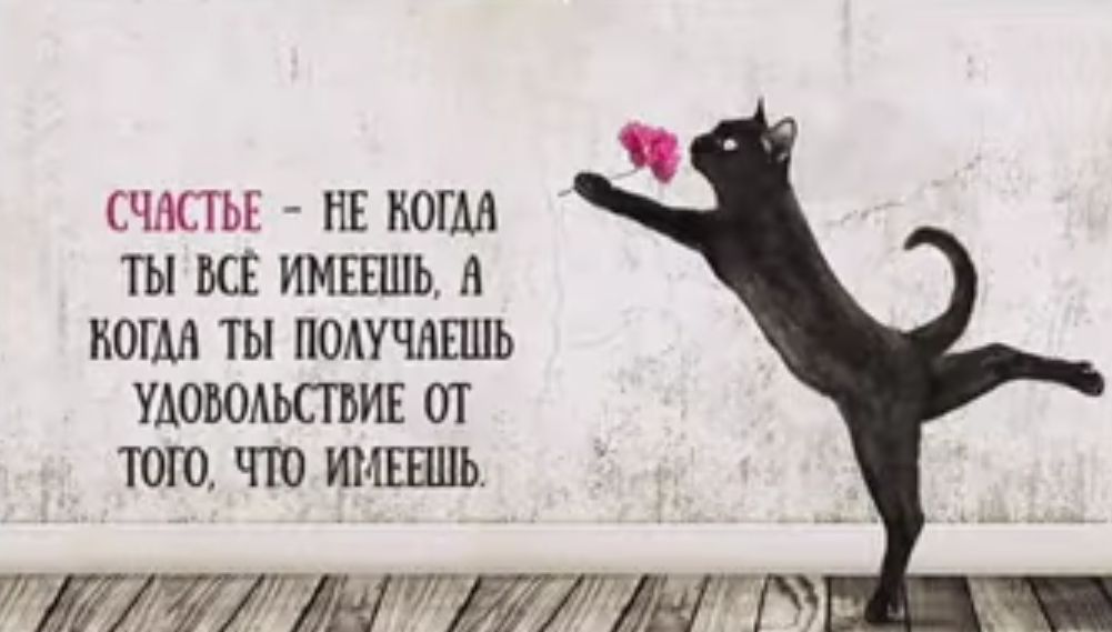 СЧАСТЬЕ НЕ КОГДА ТЫ ВСЁ ИМЕЕШЬ А ЮГМ ТЫ ПОАУЧЛЕШЬ УАОЮАЬПЪИЕ ОТ ТОП ЧЮ ИМШПЬ