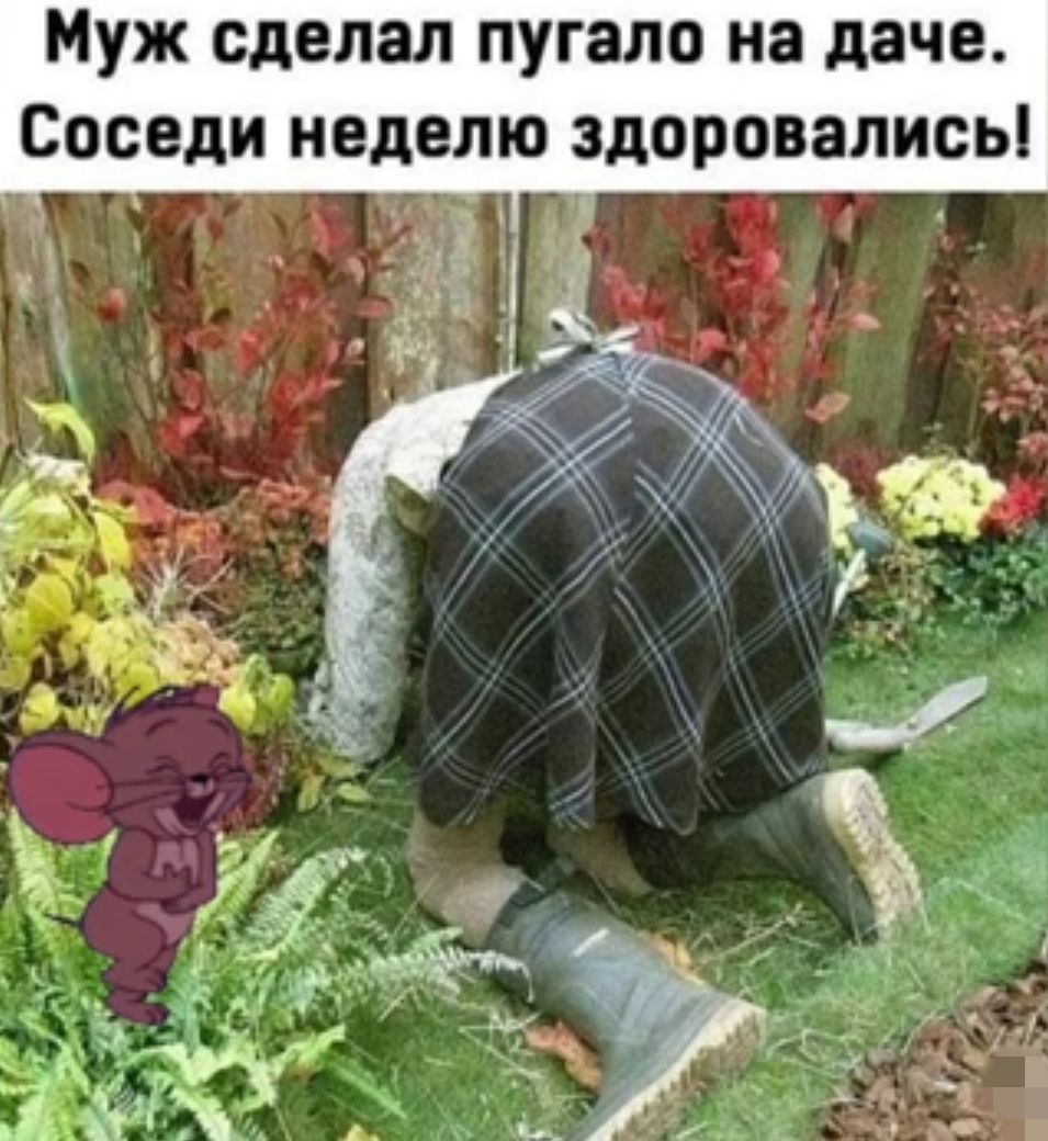 Муж сделал пугало на даче Соседи неделю здоровалисы