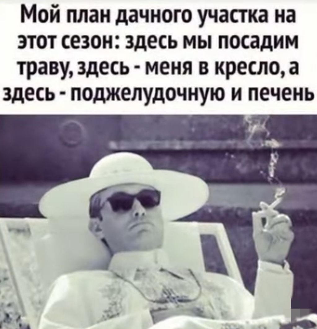 Мой план дачного участка на этот сезон здесь мы посадим траву здесь меня в кресло а здесь поджелудочную и печень
