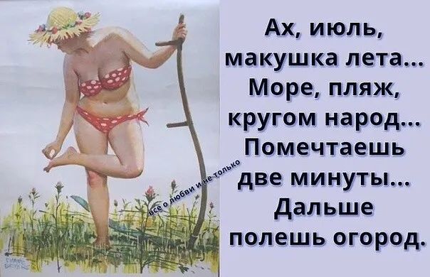 Ах июпь макушка лета Море пляж кругом народ Помечтаешь две минуты дальше _ полешь огород
