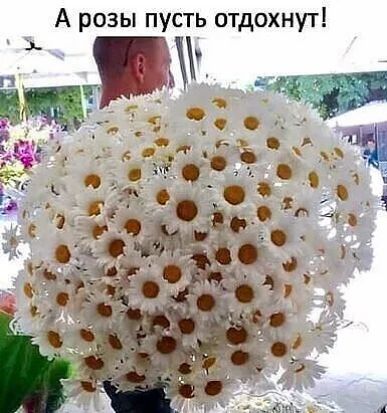 А розы пусть отдохнут