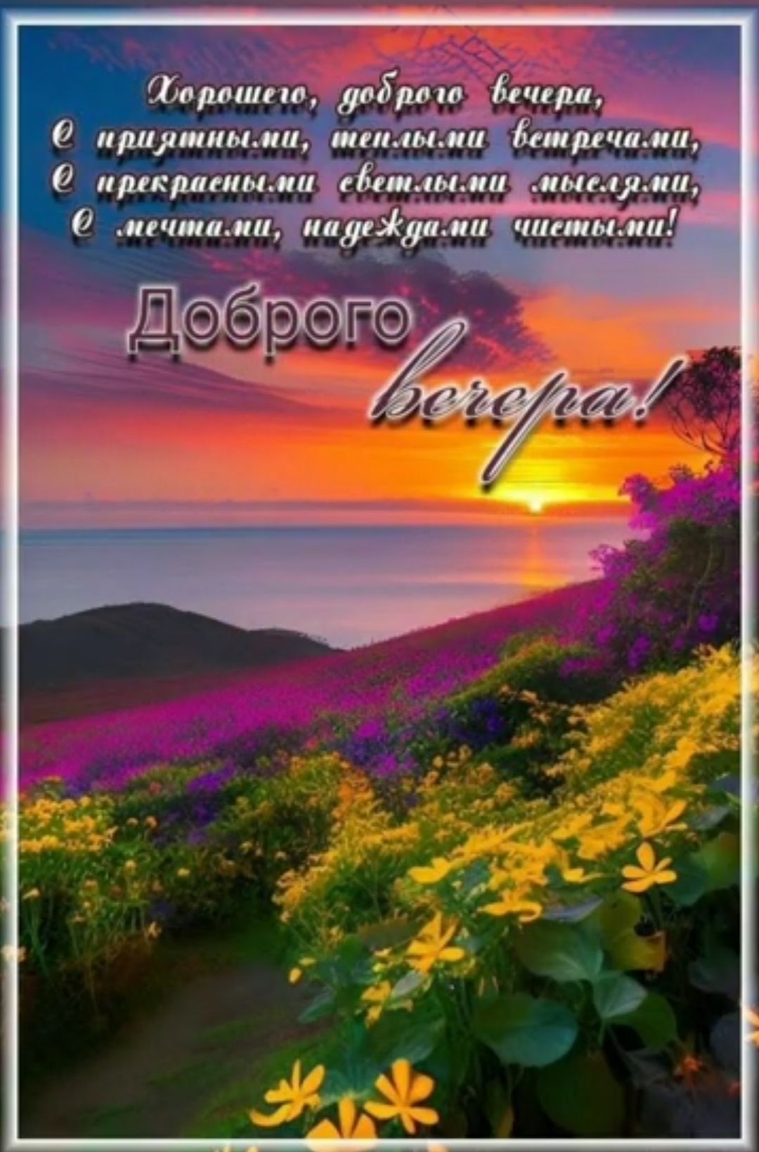 Шерилин відди на