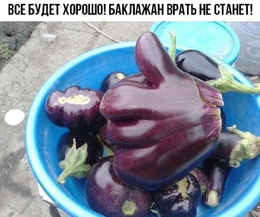 ВСЕ БУДЕТ ХПРПШП БАКЛАЖАН БРАТЬ НЕ СТАНЕТ 1_