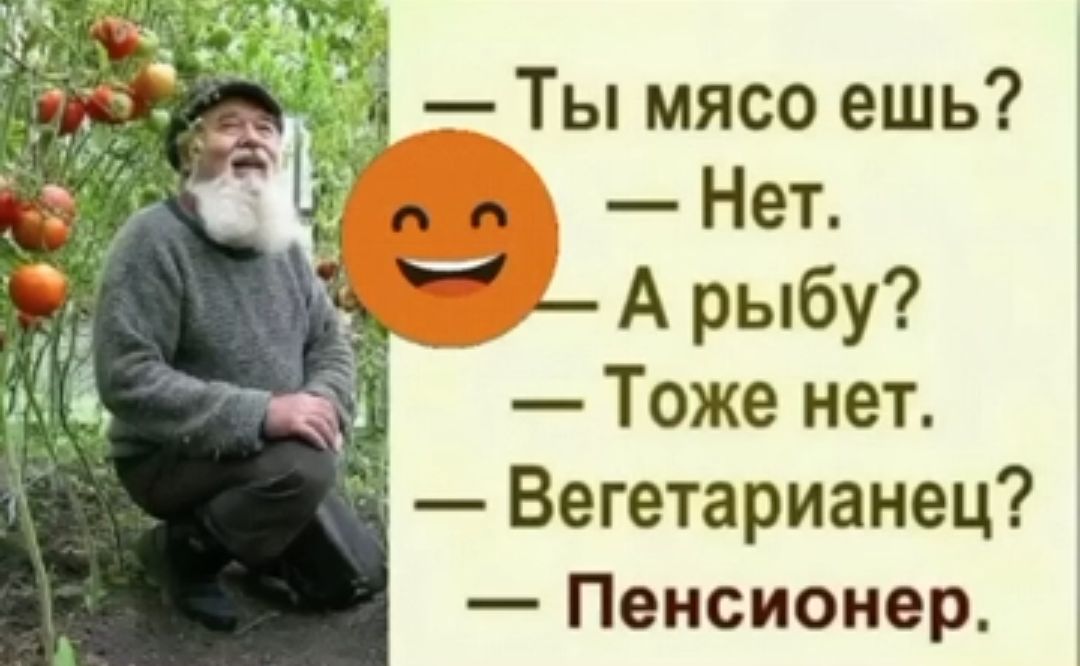 Ты мясо ешь А п _ Нет А рыбу Тоже нет Вегетарианец Пенсионер